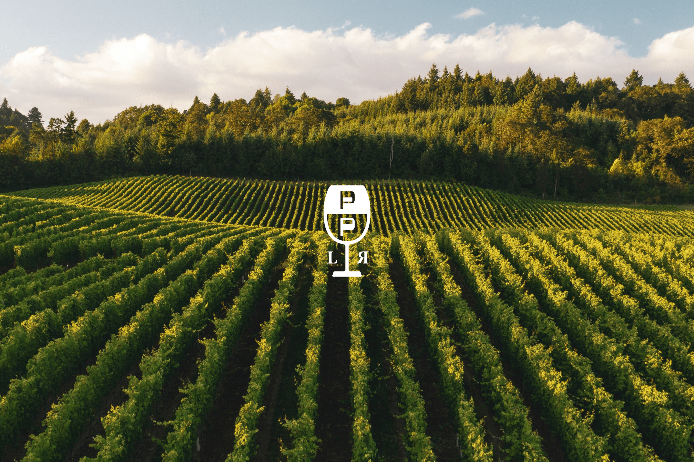 Ícono de Pepe Palermo sobre fotografía original de viñedos.