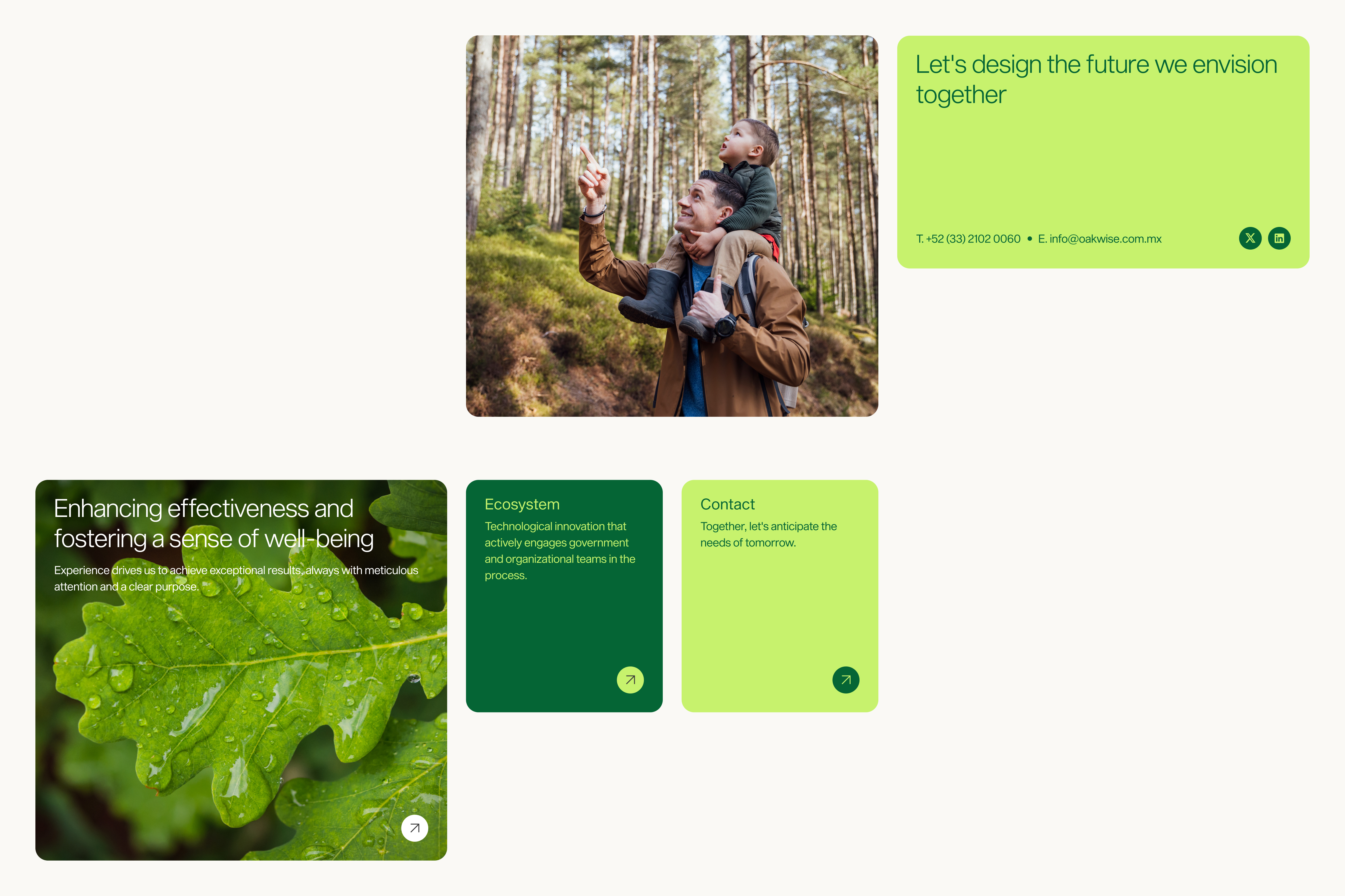 Oakwise web components with modular block layout, vibrant green palette, and editorial-style imagery.