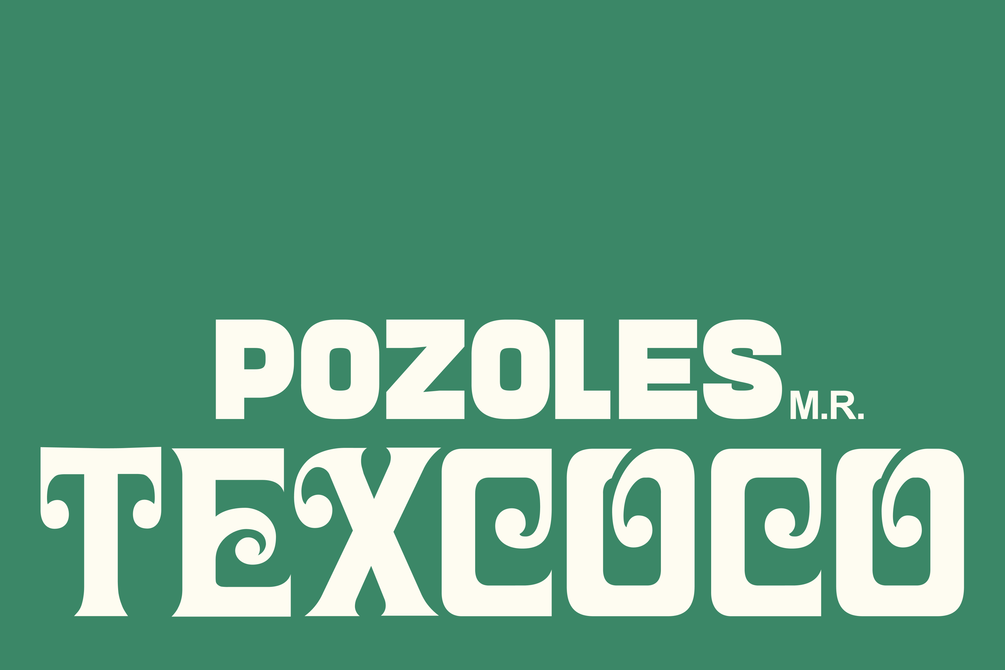 Pozoles Texcoco wordmark on green background.
